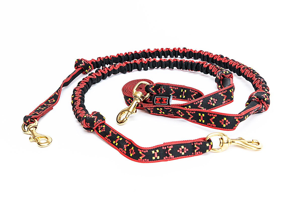 snap-line-with-bungee-for-2-dogs (1)