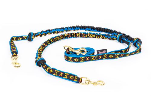 snap-line-with-bungee-for-2-dogs (1)