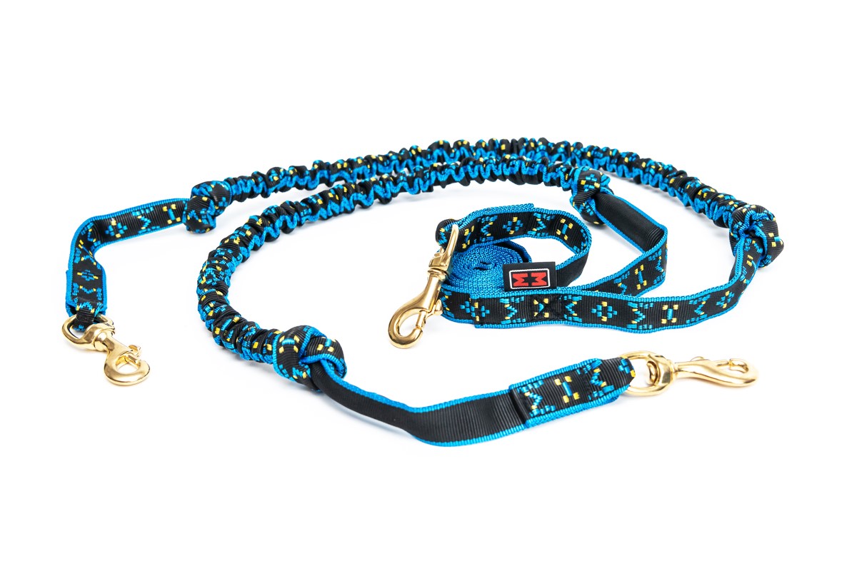 snap-line-with-bungee-for-2-dogs (2)