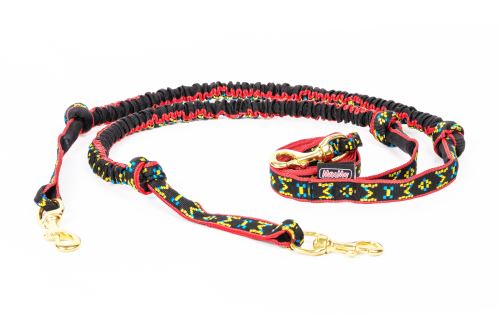 snap-line-with-bungee-for-2-dogs (2)