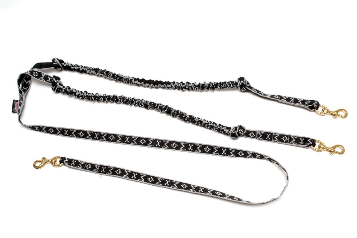 snap-line-with-bungee-for-2-dogs (3)