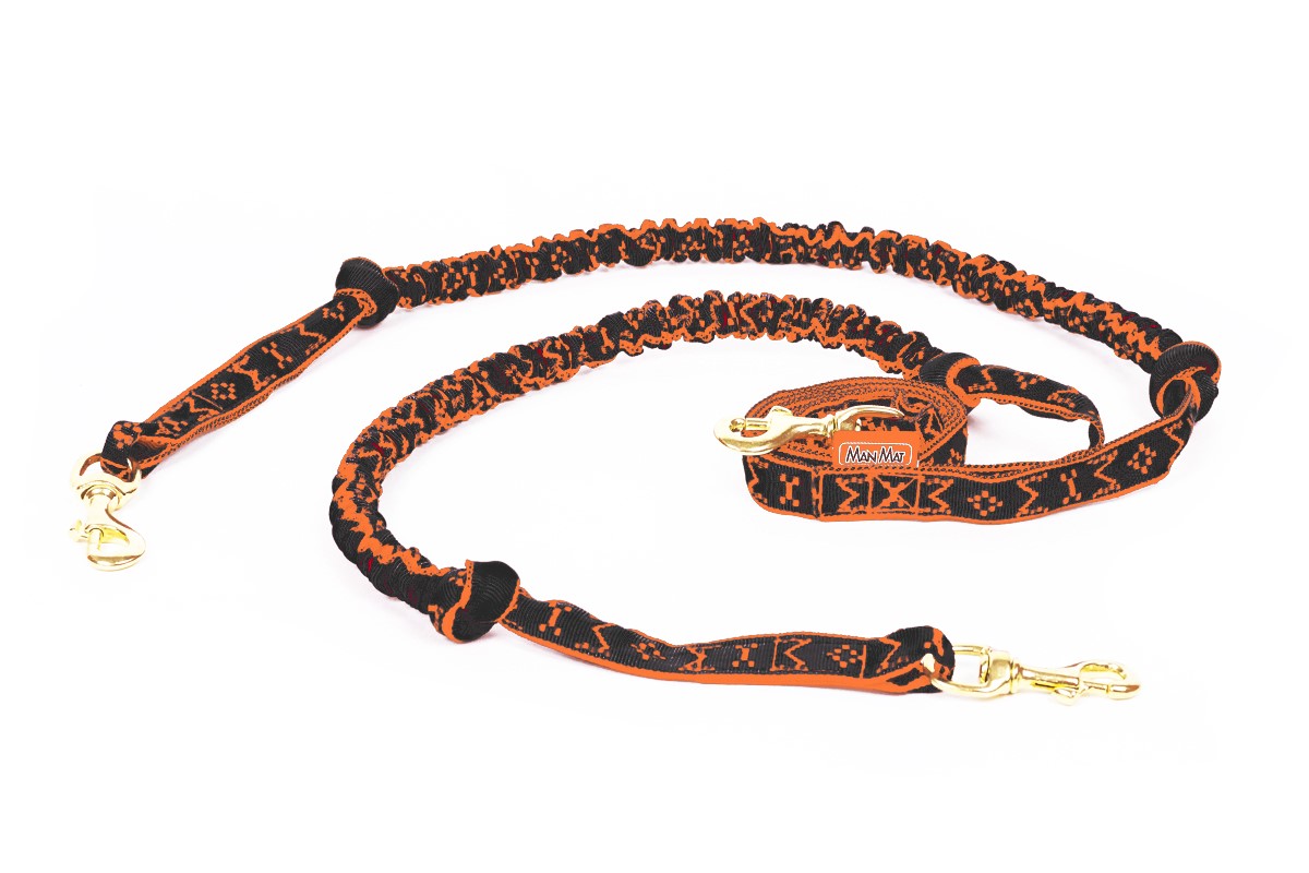 snap-line-with-bungee-for-2-dogs