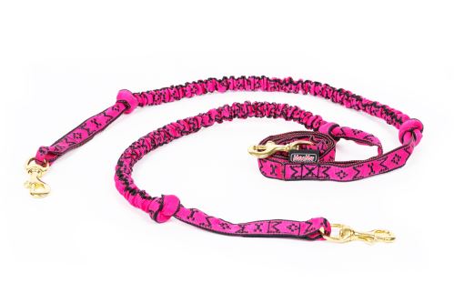 snap-line-with-bungee-for-2-dogs